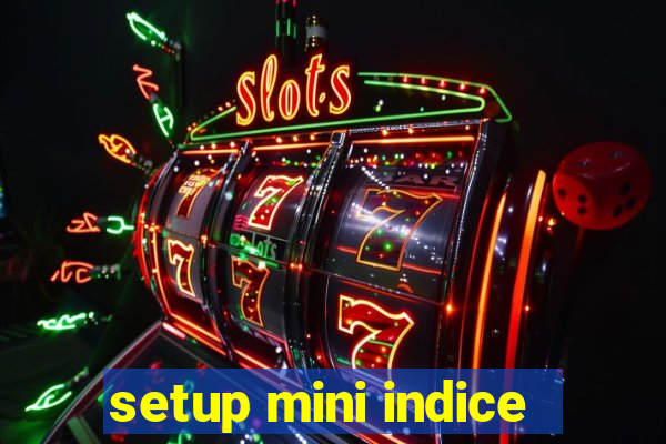 setup mini indice